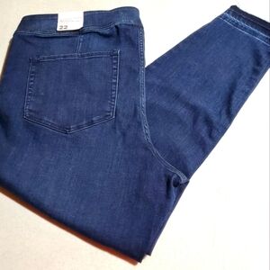 Lane Bryant Sz. 22 Blue Jean Jeggings